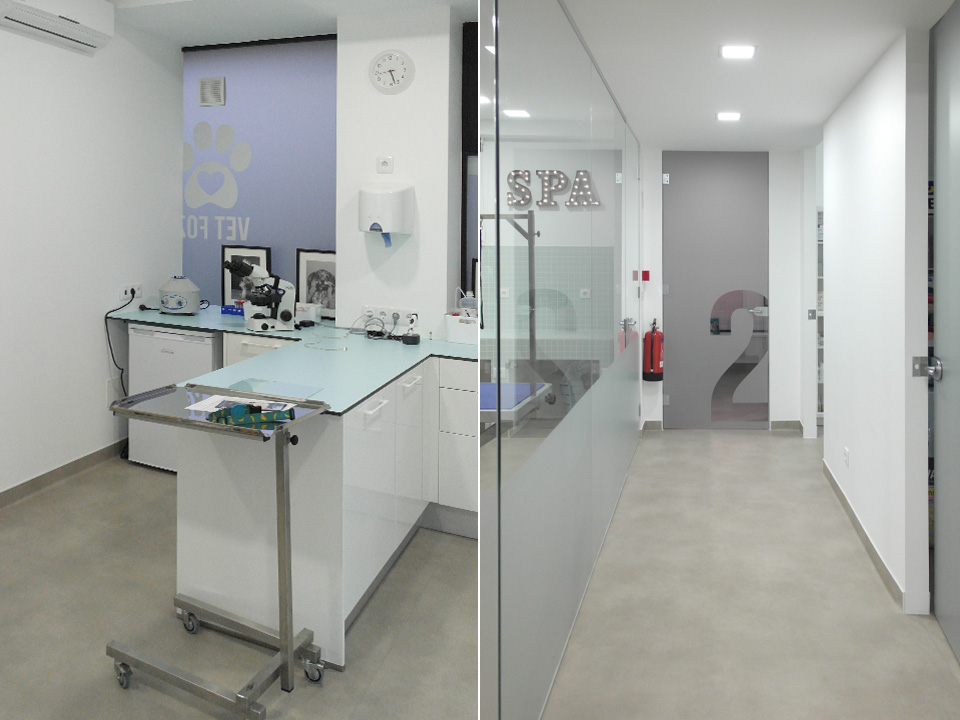 loja veterinária prestige obras