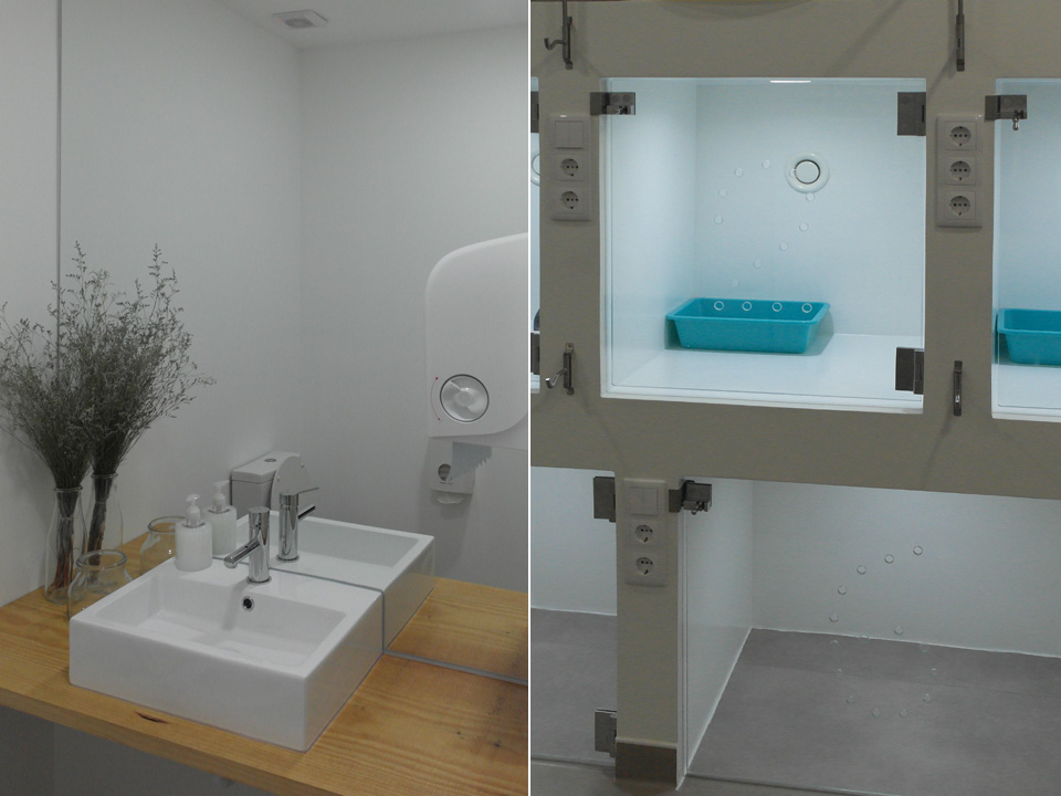 loja veterinária prestige obras