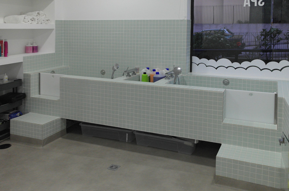 loja veterinária prestige obras